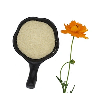 2024 Gelatin Powder Cheap Price Food Grade Gelatin Bovine Source