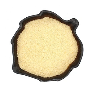 2024 Gelatin Powder Cheap Price Food Grade Gelatin Bovine Source